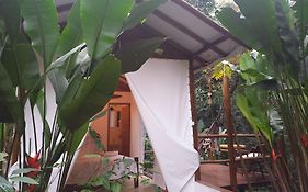 Pousada Eco Jungle Lodge